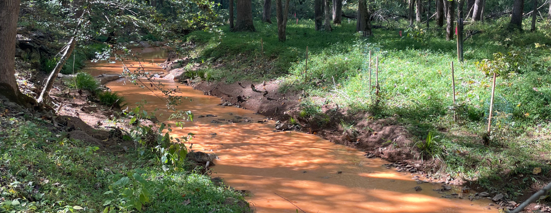 Muddy Water Watch Training